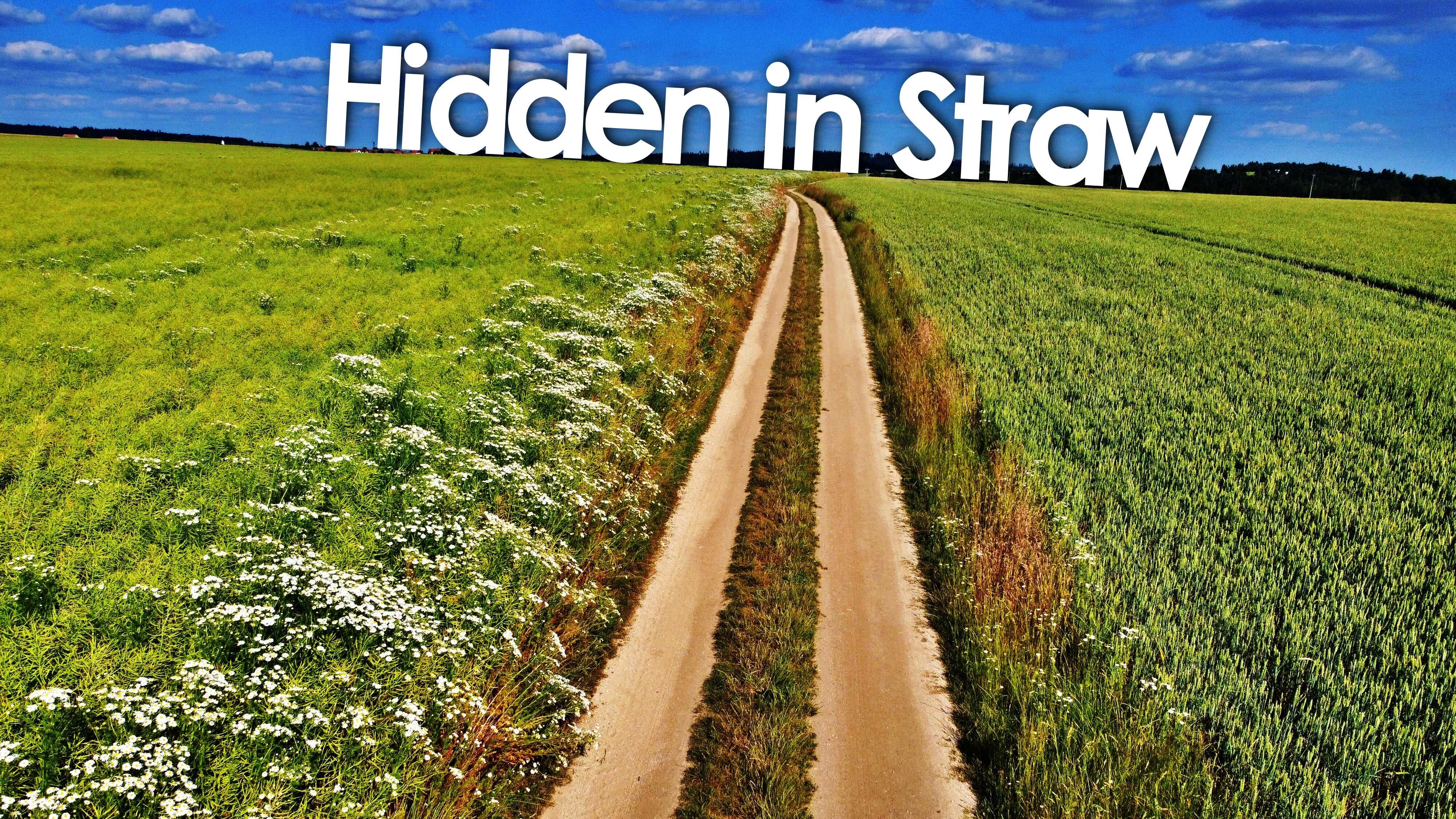 Hidden in the Straw